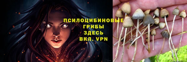 молекула духа Бугульма