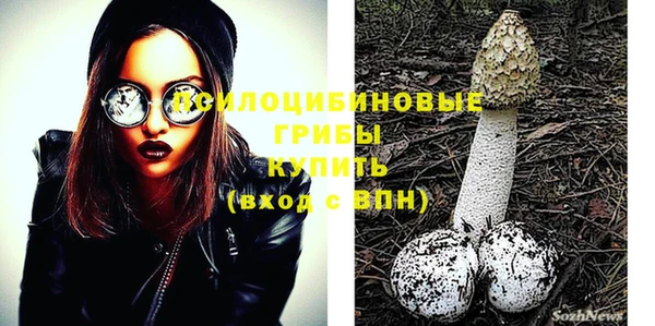 молекула духа Бугульма