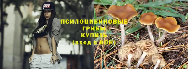 бошки Верхний Тагил