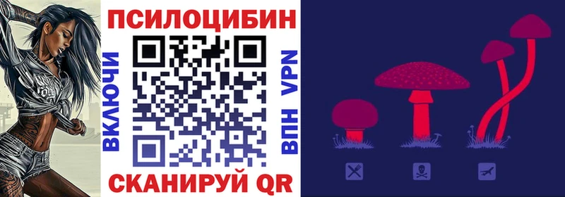 Псилоцибиновые грибы Psilocybine cubensis  Трёхгорный 